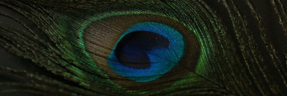 Identidade visual para pousadas